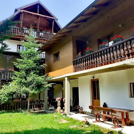 Pensiunea Andrei Borşa Exterior foto