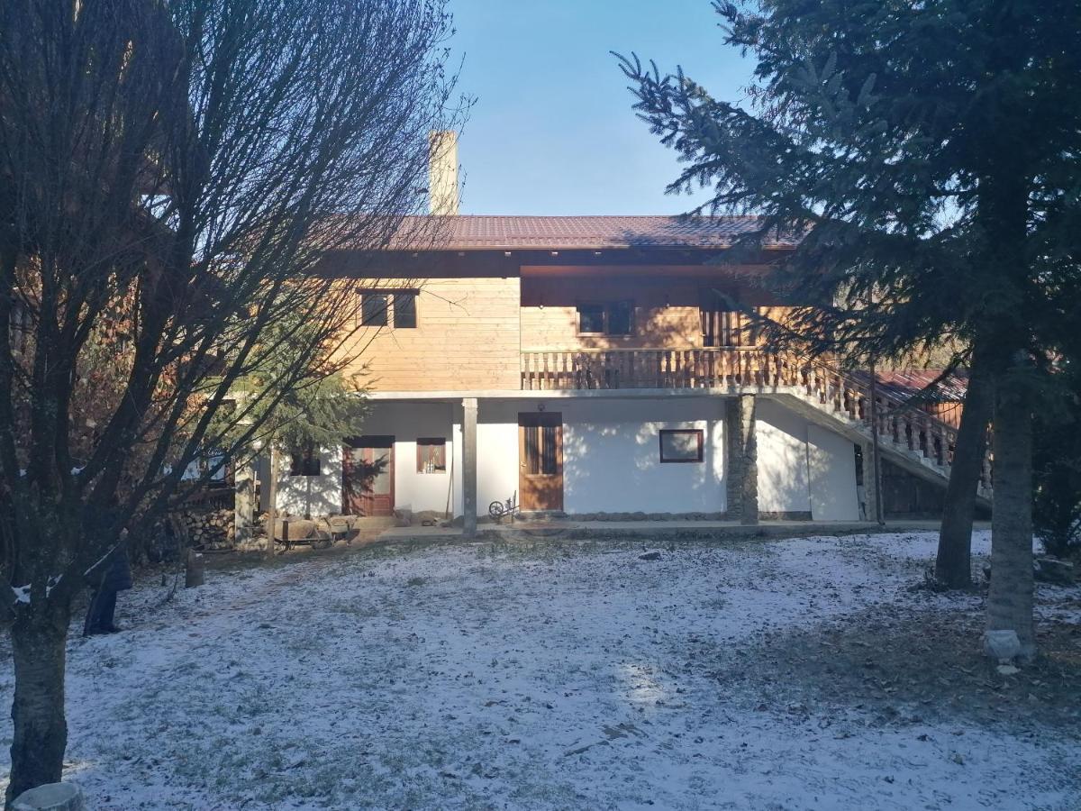 Pensiunea Andrei Borşa Exterior foto