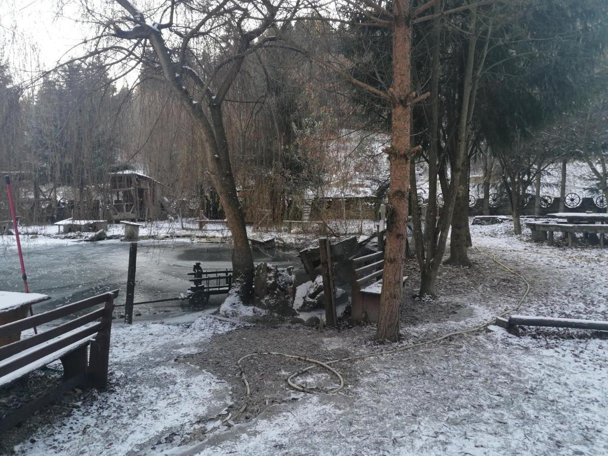 Pensiunea Andrei Borşa Exterior foto