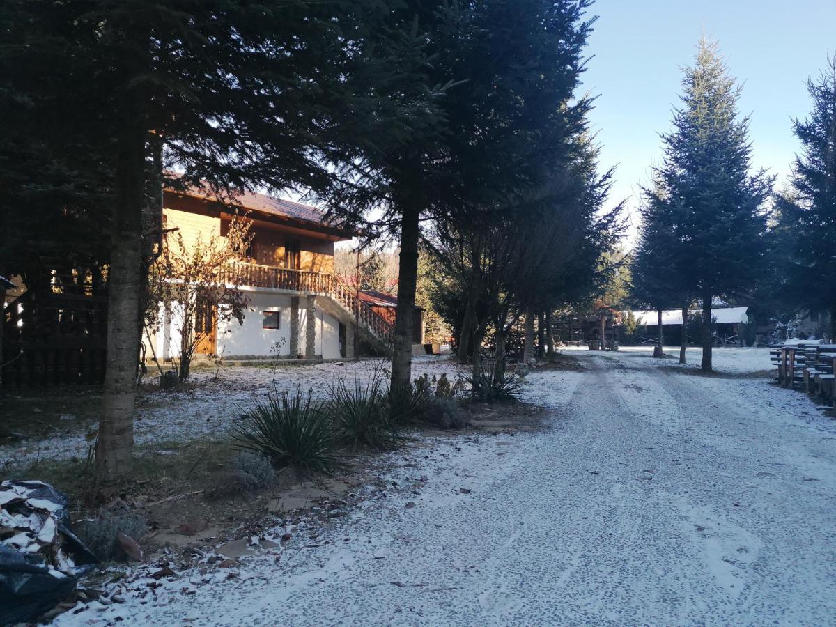 Pensiunea Andrei Borşa Exterior foto
