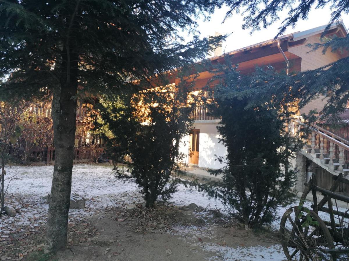 Pensiunea Andrei Borşa Exterior foto
