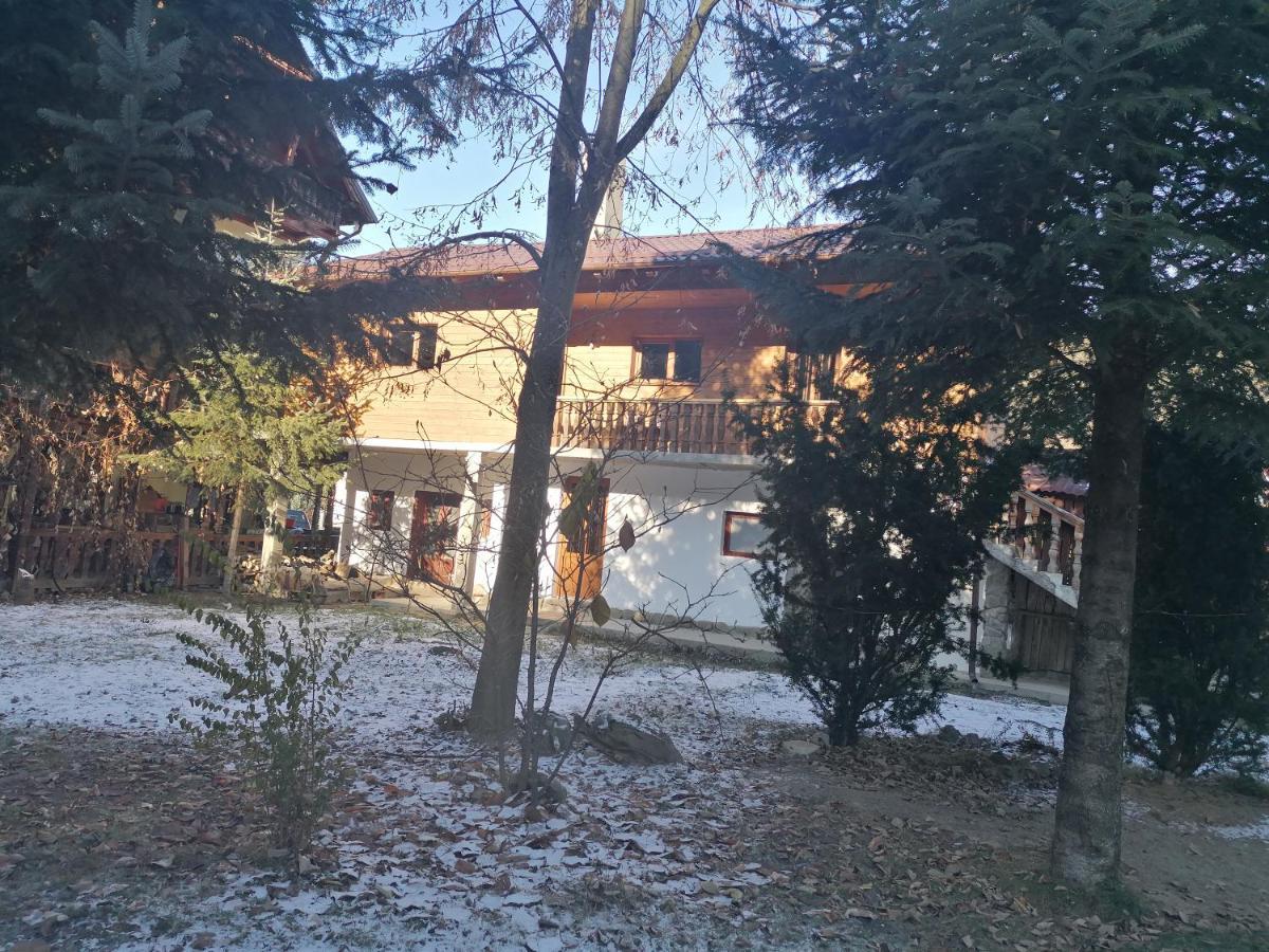 Pensiunea Andrei Borşa Exterior foto