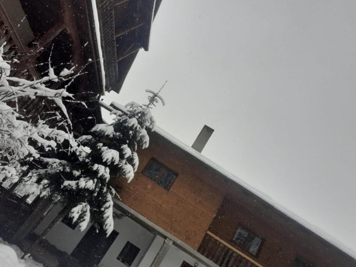 Pensiunea Andrei Borşa Exterior foto