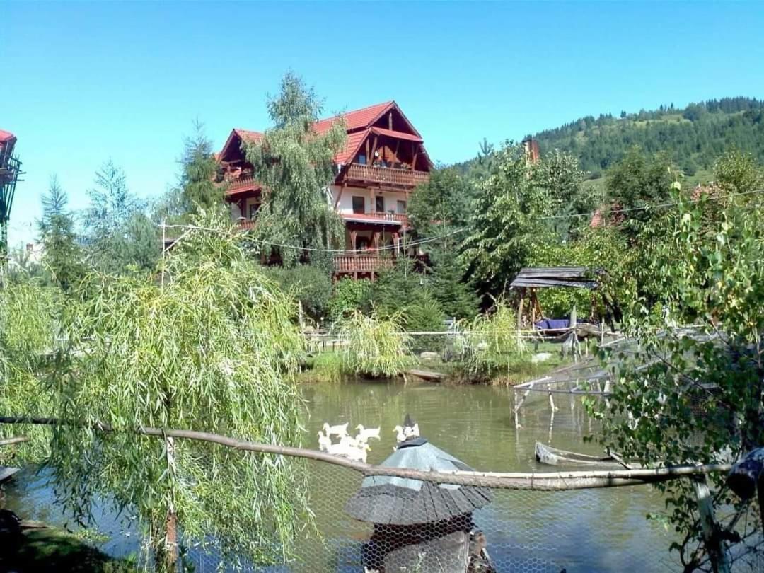 Pensiunea Andrei Borşa Exterior foto