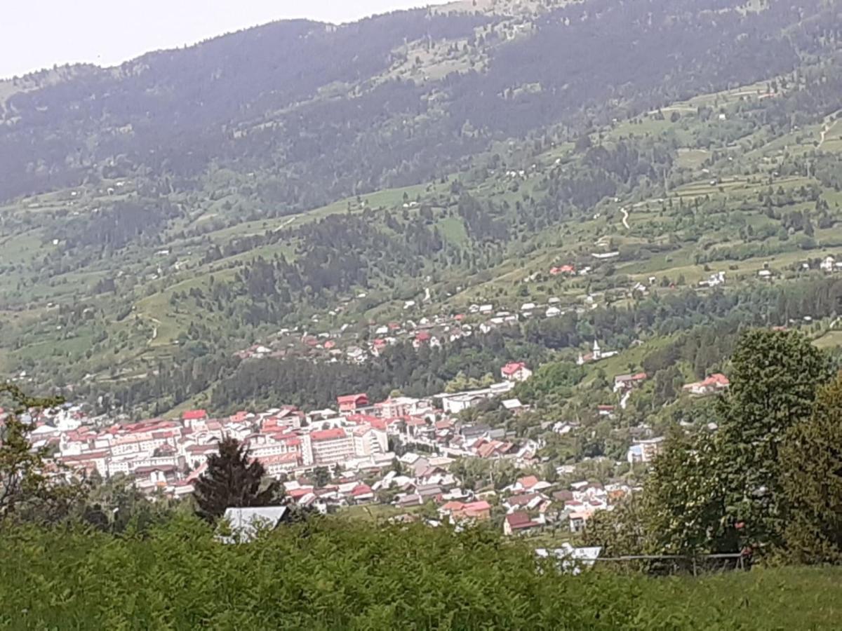 Pensiunea Andrei Borşa Exterior foto