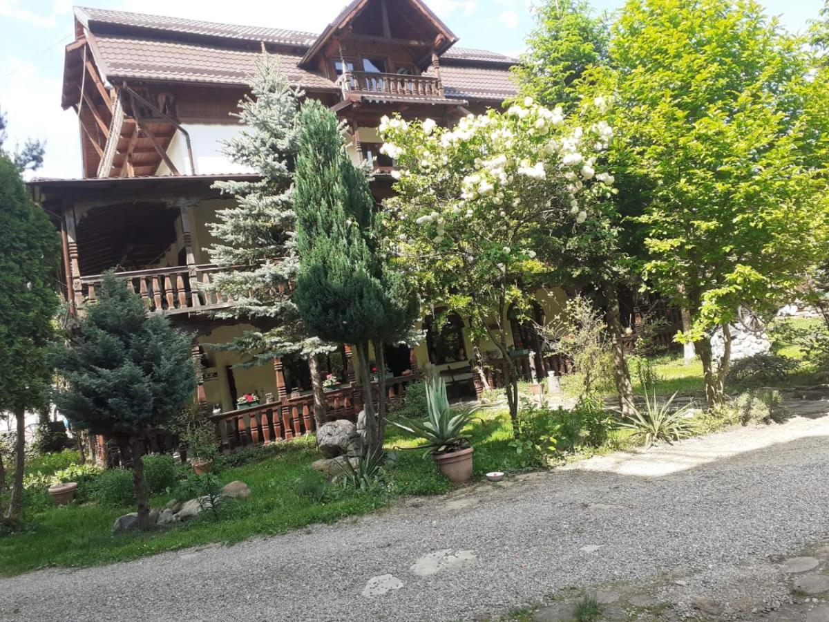 Pensiunea Andrei Borşa Exterior foto