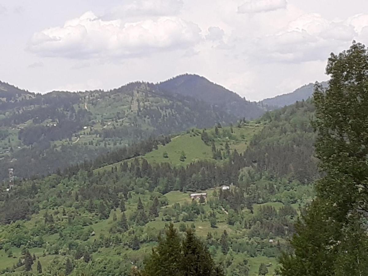 Pensiunea Andrei Borşa Exterior foto
