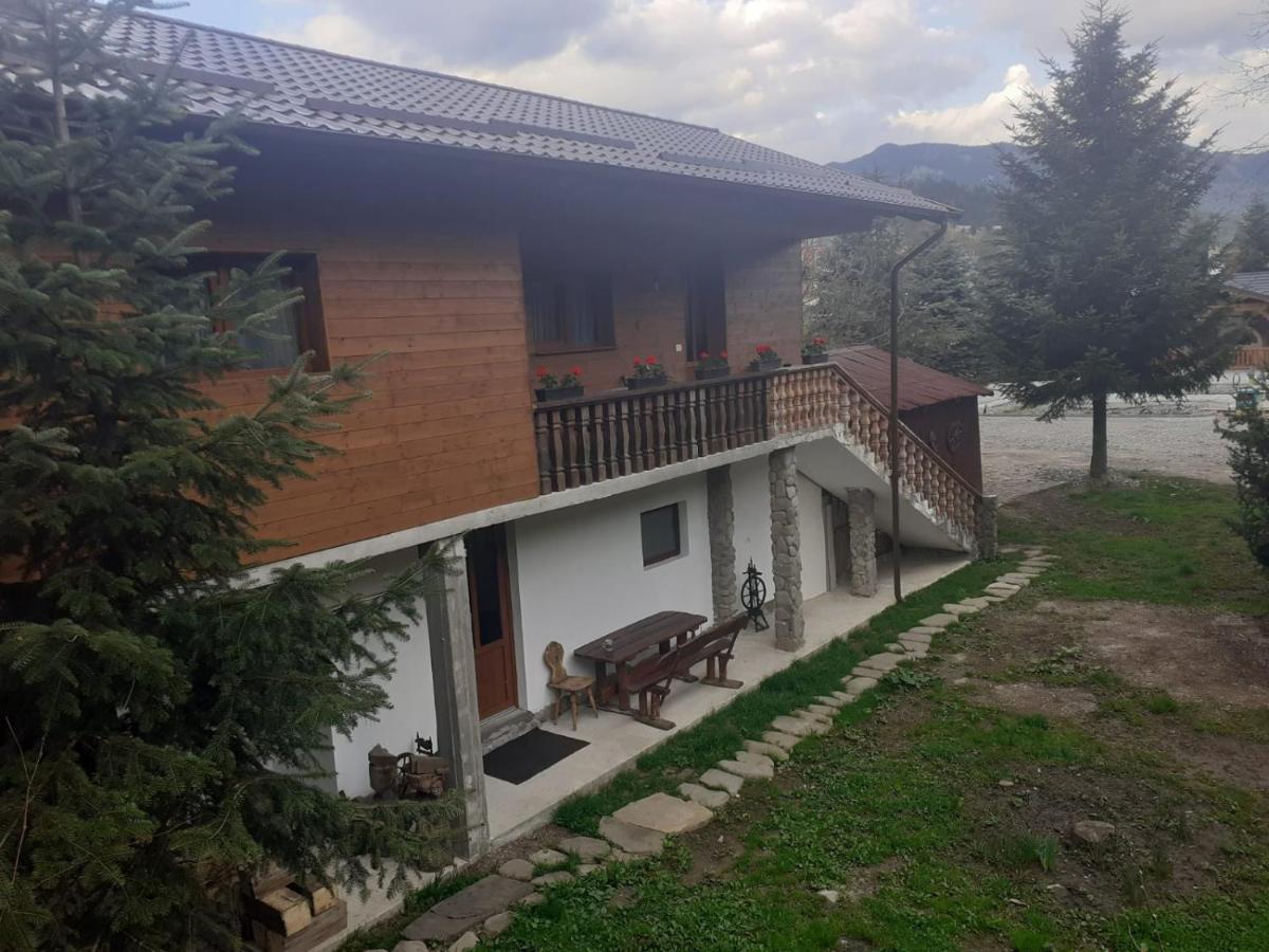 Pensiunea Andrei Borşa Exterior foto