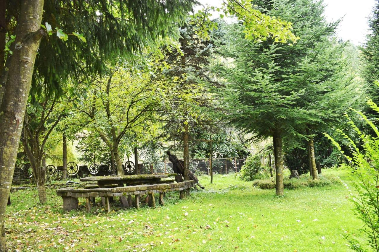 Pensiunea Andrei Borşa Exterior foto