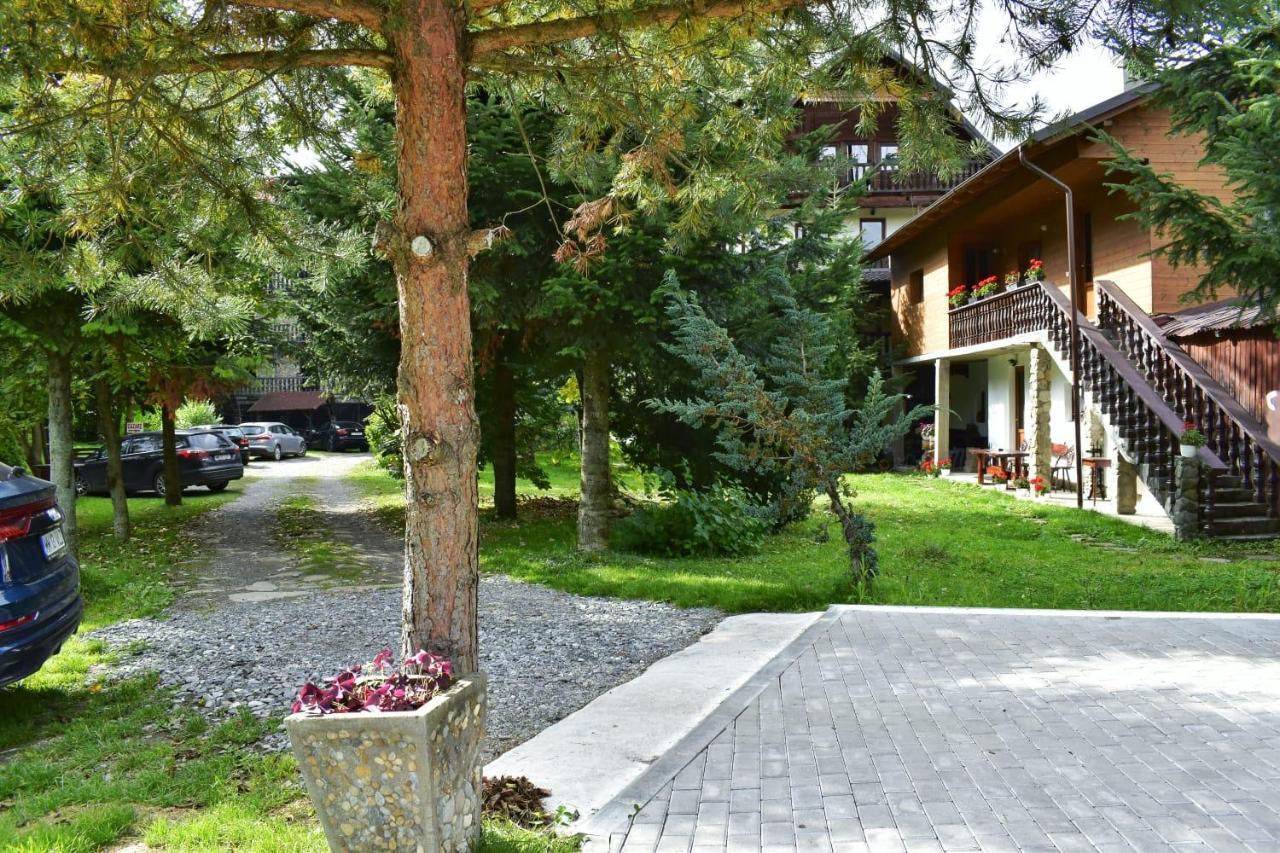Pensiunea Andrei Borşa Exterior foto