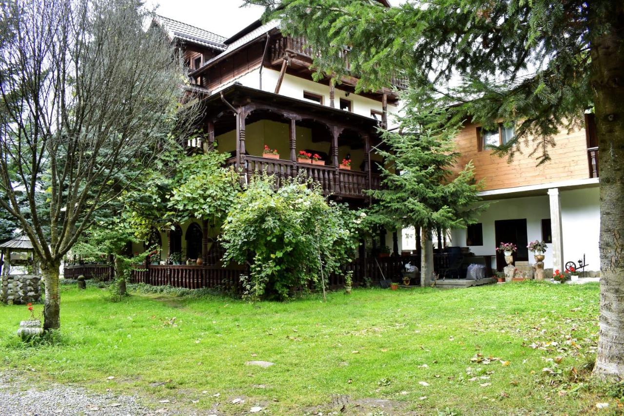 Pensiunea Andrei Borşa Exterior foto