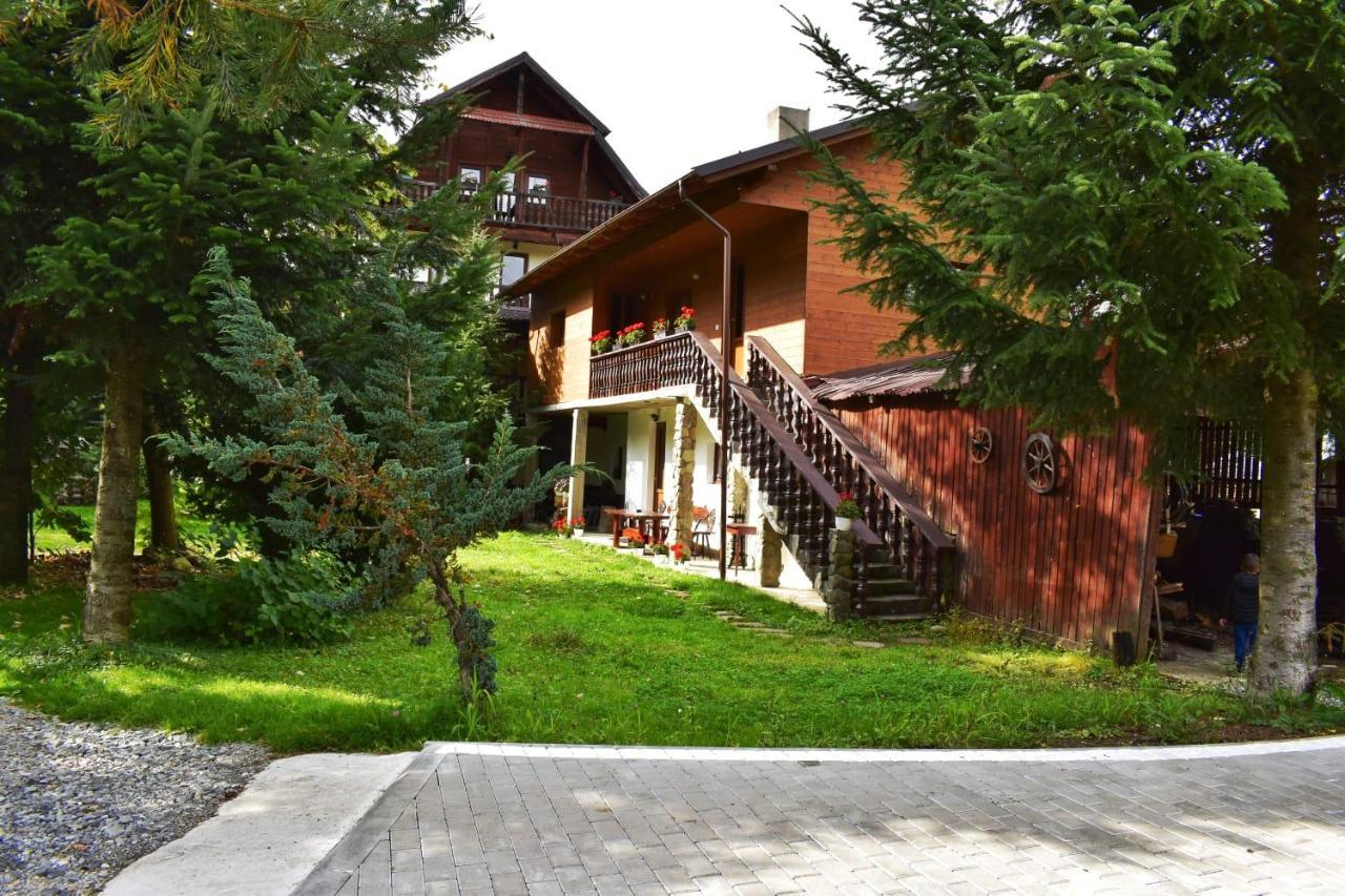 Pensiunea Andrei Borşa Exterior foto