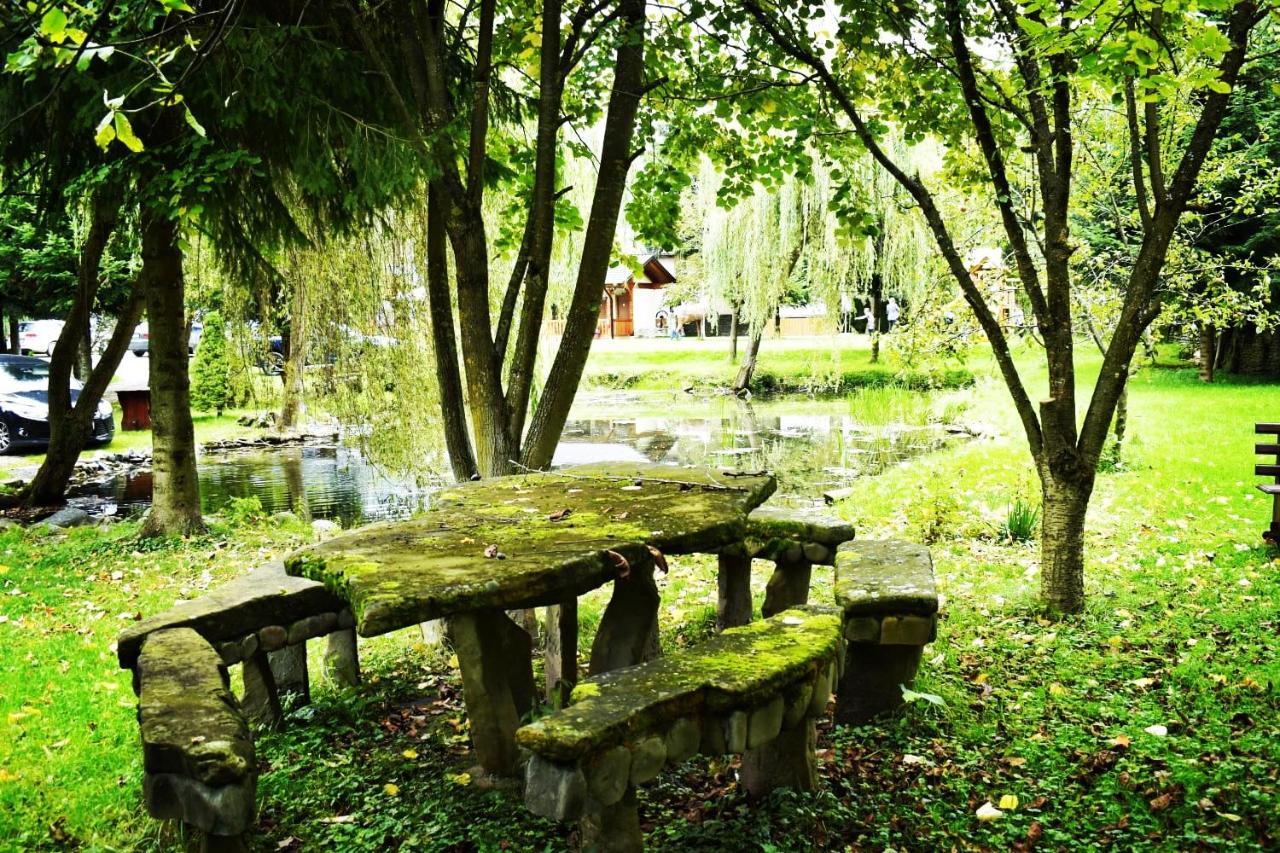 Pensiunea Andrei Borşa Exterior foto