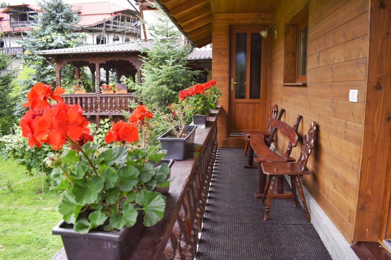 Pensiunea Andrei Borşa Exterior foto