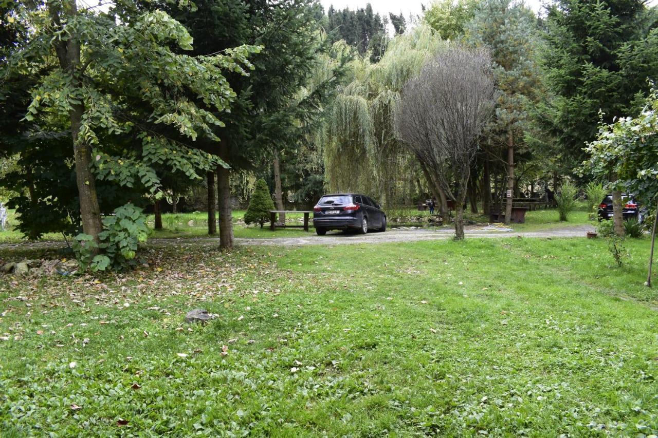 Pensiunea Andrei Borşa Exterior foto