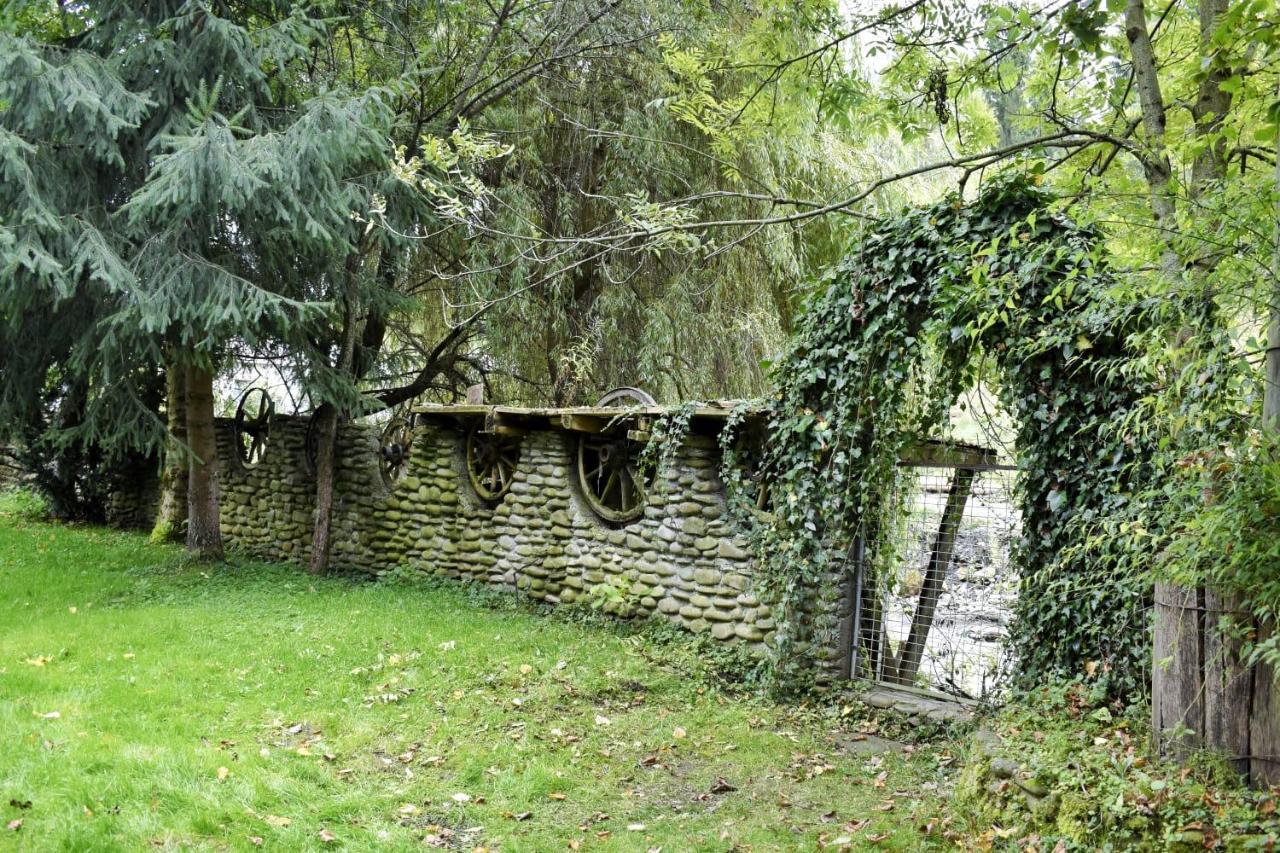 Pensiunea Andrei Borşa Exterior foto