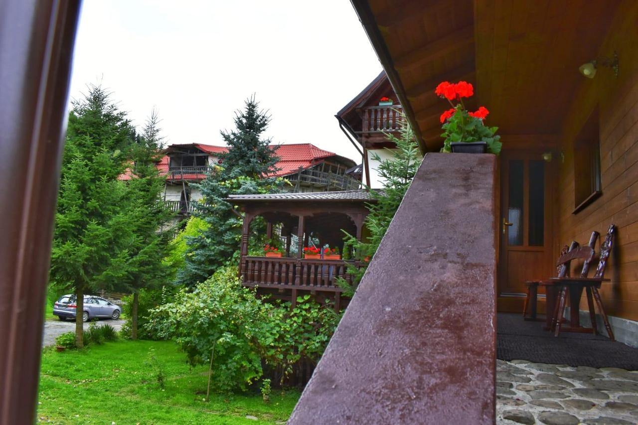 Pensiunea Andrei Borşa Exterior foto