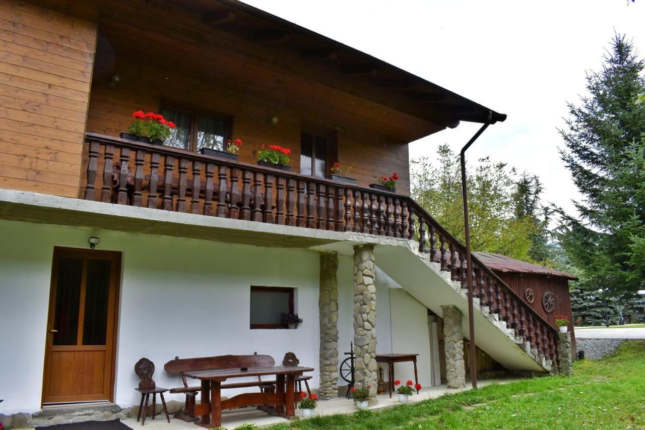 Pensiunea Andrei Borşa Exterior foto