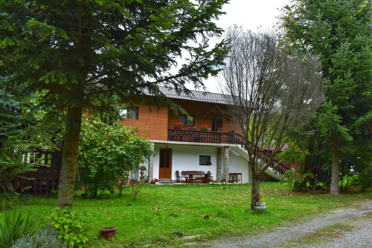 Pensiunea Andrei Borşa Exterior foto