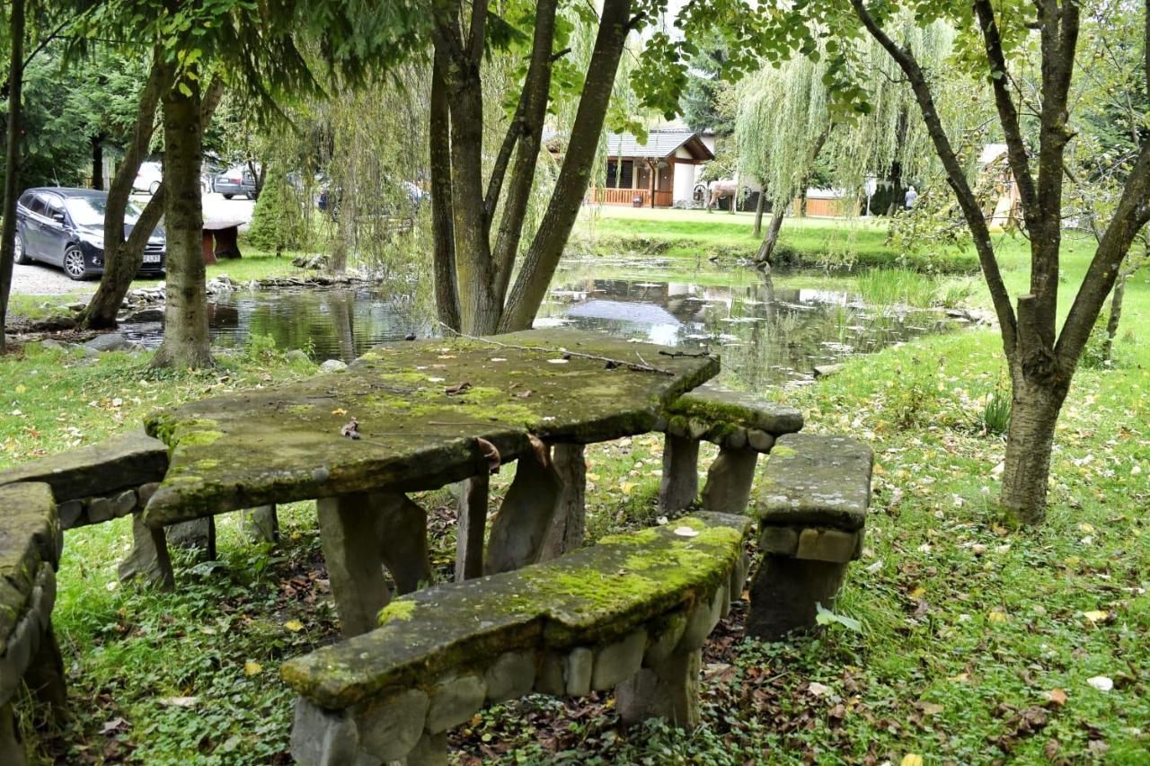 Pensiunea Andrei Borşa Exterior foto